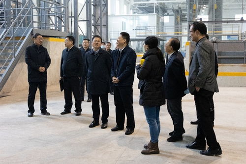 強強聯合，共謀能源科技創新 國家能源集團科學技術研究院楊宏強董事長一行到訪交流